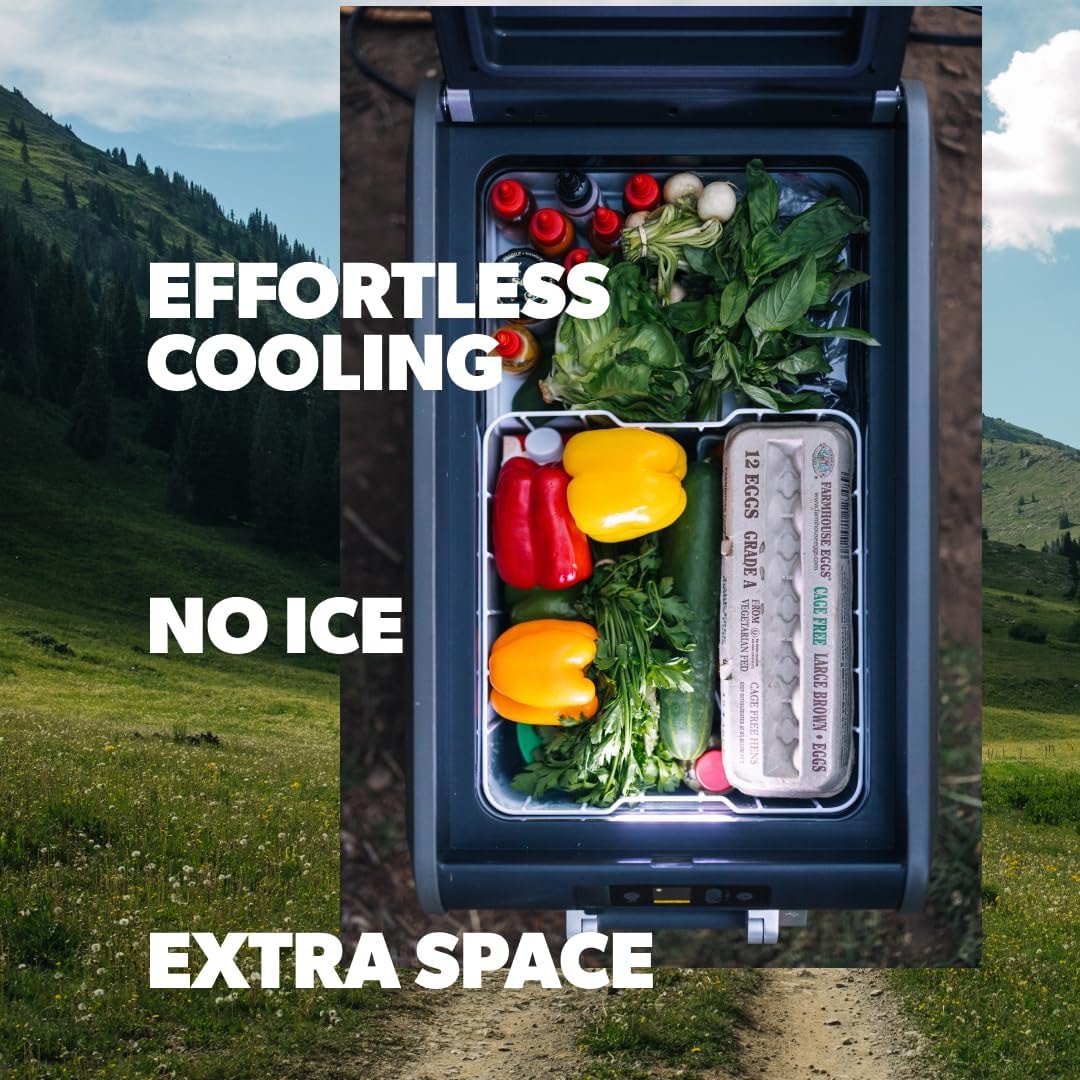 Dometic CFX5 75DZ Electric Cooler – 75 liters – CFX5-75L DZ – Refrigerators