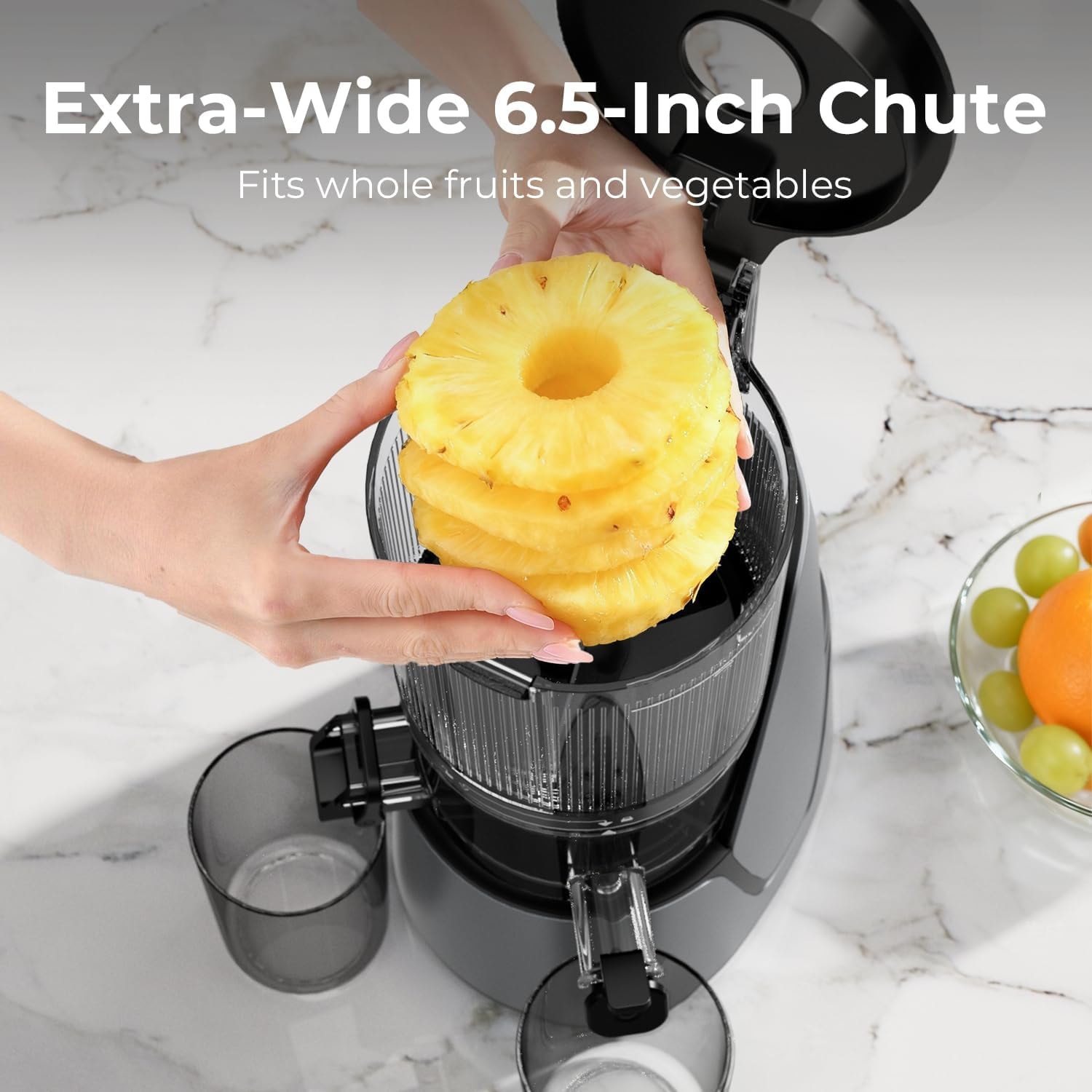 Cold Press Juicer – Premium Gray – Single Auger Masticating Juicers