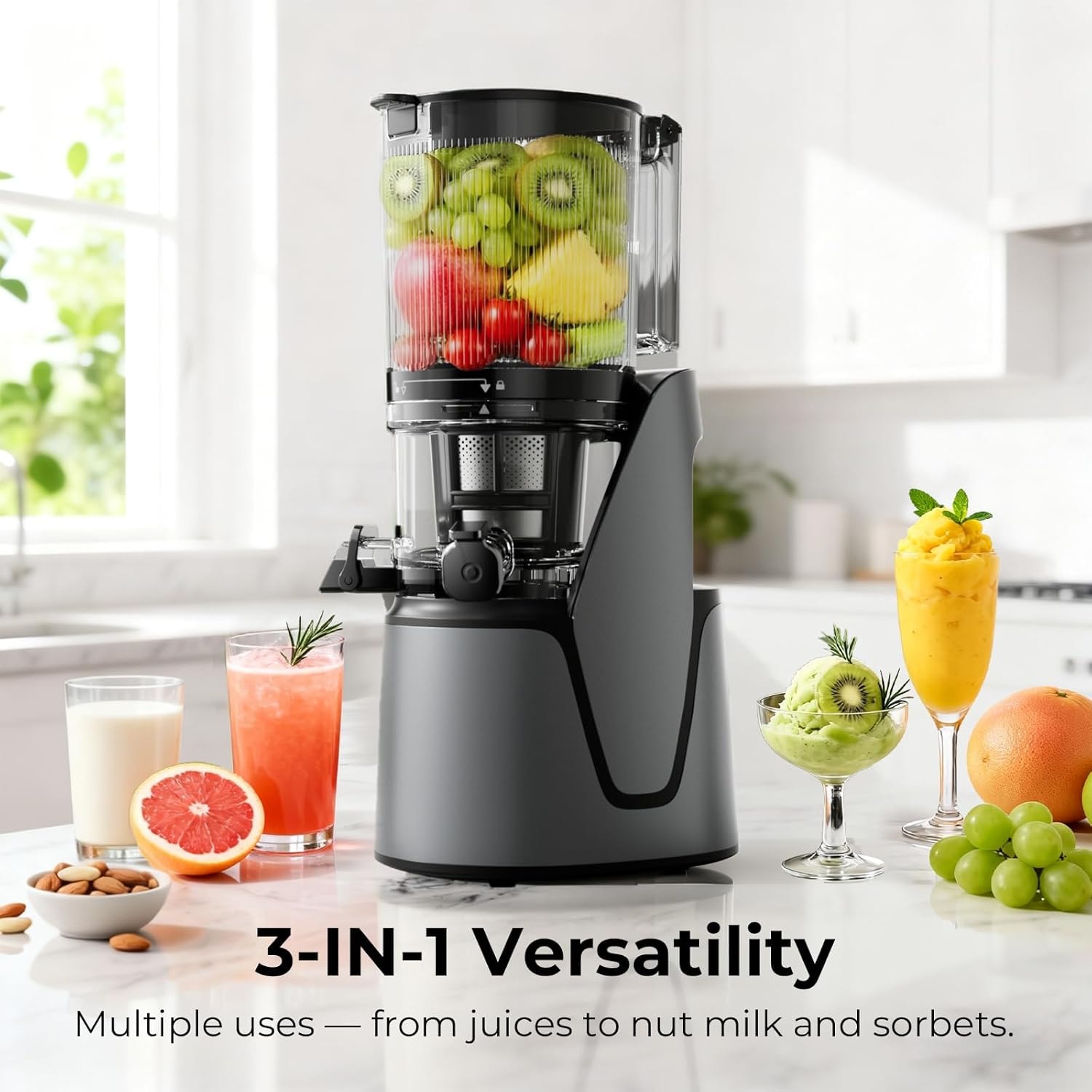 Cold Press Juicer – Premium Gray – Single Auger Masticating Juicers
