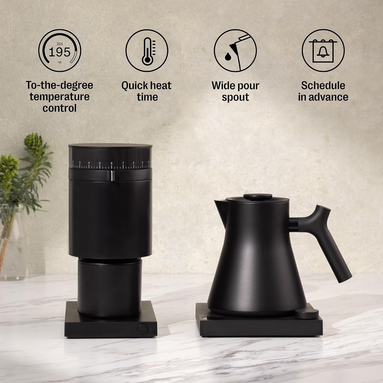 Fellow Corvo Ekg Pro Electric Kettle - Matte Black/walnut – 0.9 liters – Matte Black with Walnut Handle – Electric Kettles