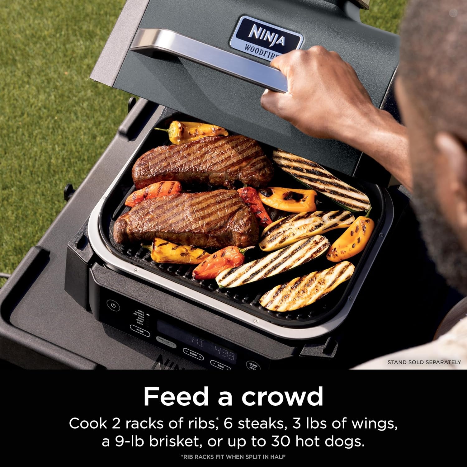 Ninja Woodfire Outdoor Grill & Smoker OG701LW – Electric Grills