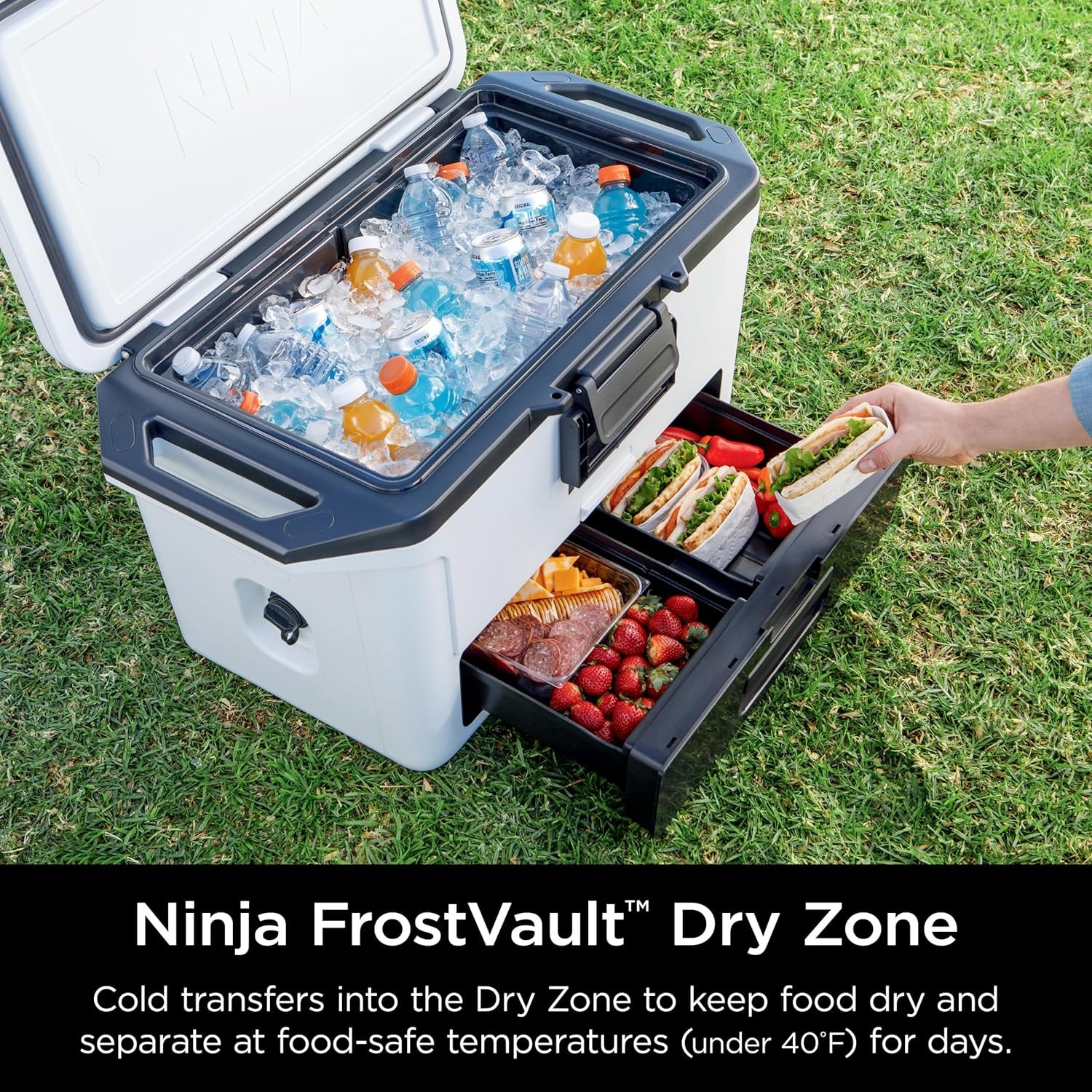 Ninja FrostVault 30 Qt. Wheeled Cooler with Dry Zone – 50 quarts – Halocline Green – Coolers